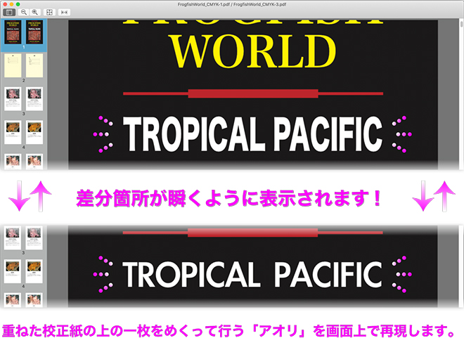 アオリ表示 アオリ表示