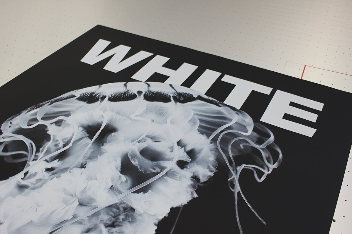 white250620.jpg
